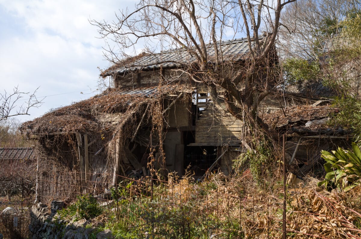 Scenes from a small, sparsely populated Japanese island