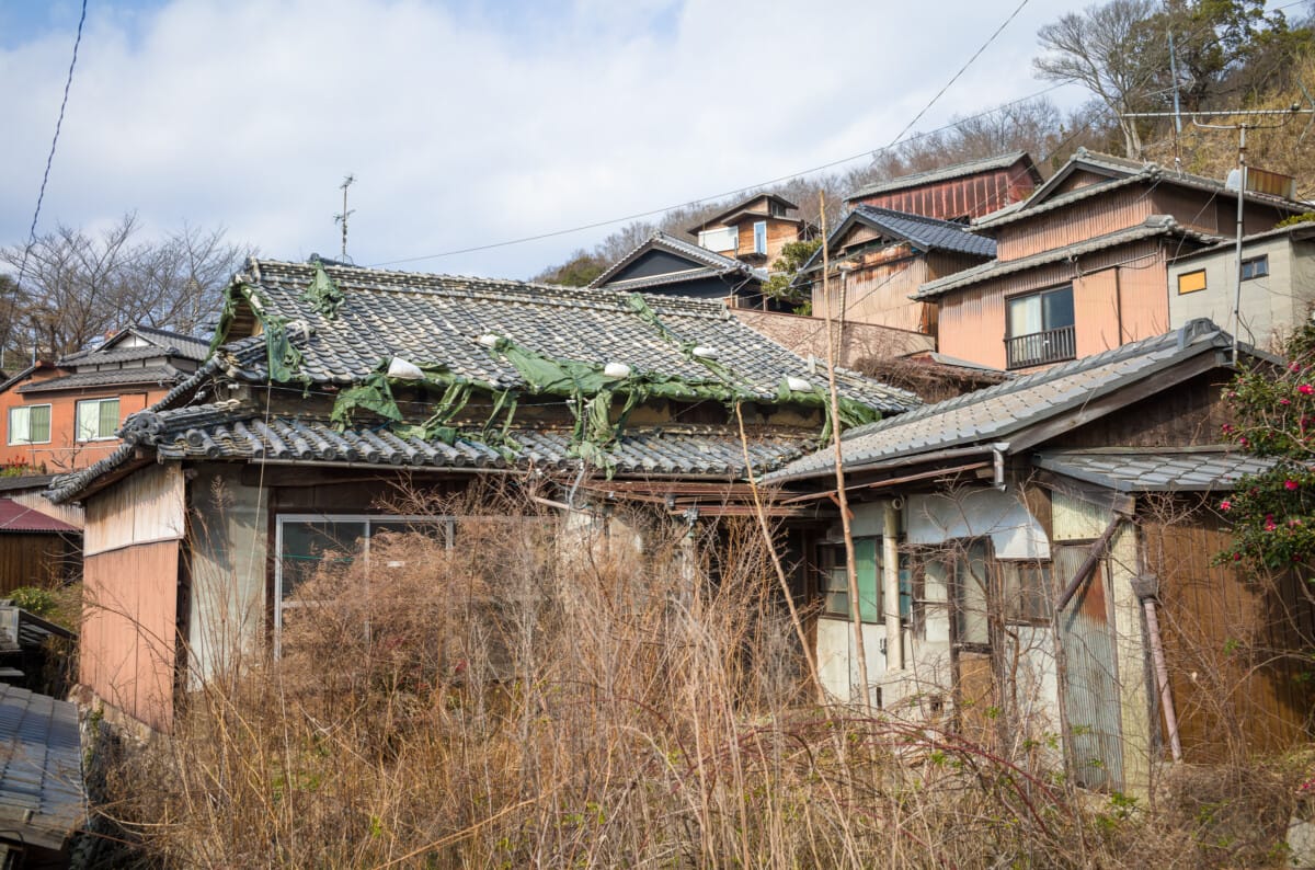 Scenes from a small, sparsely populated Japanese island