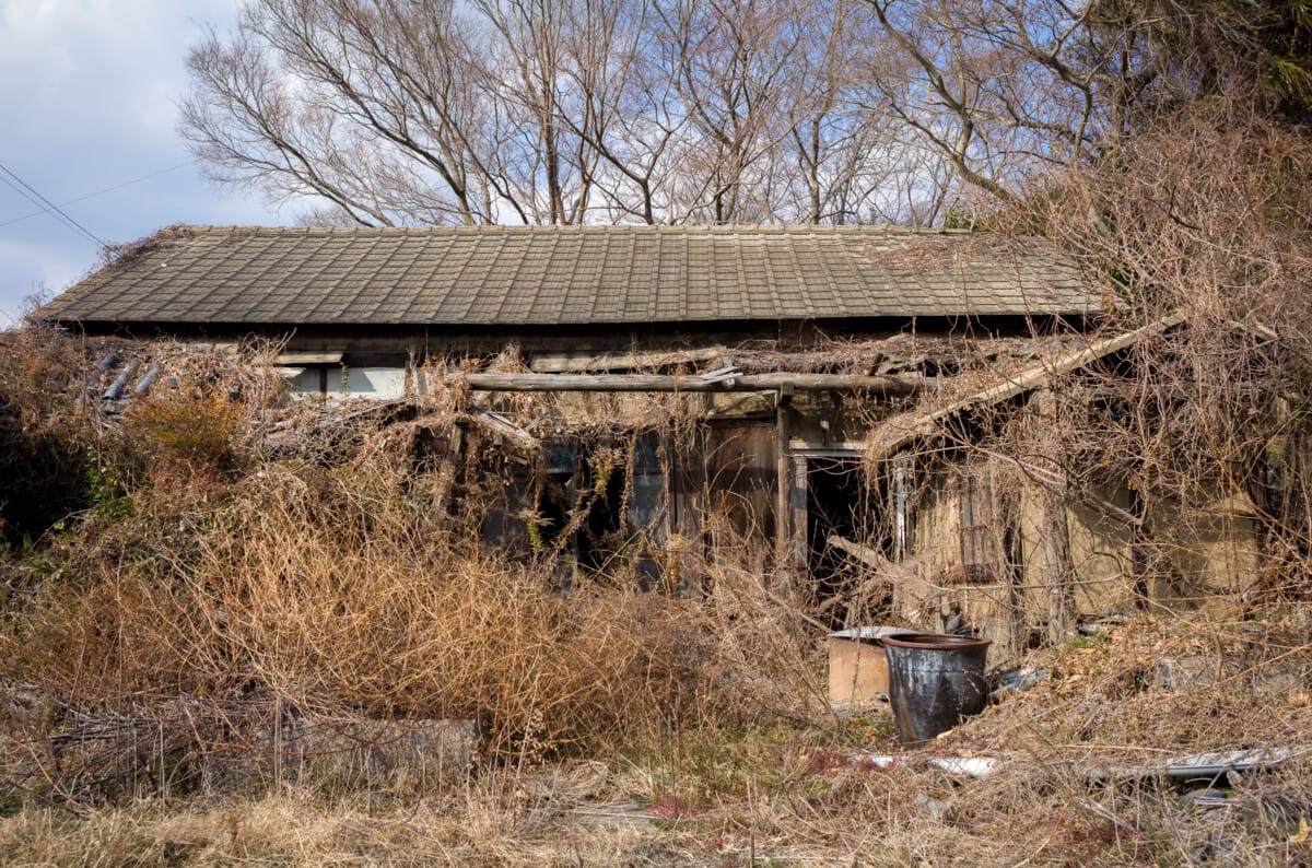 Scenes from a small, sparsely populated Japanese island