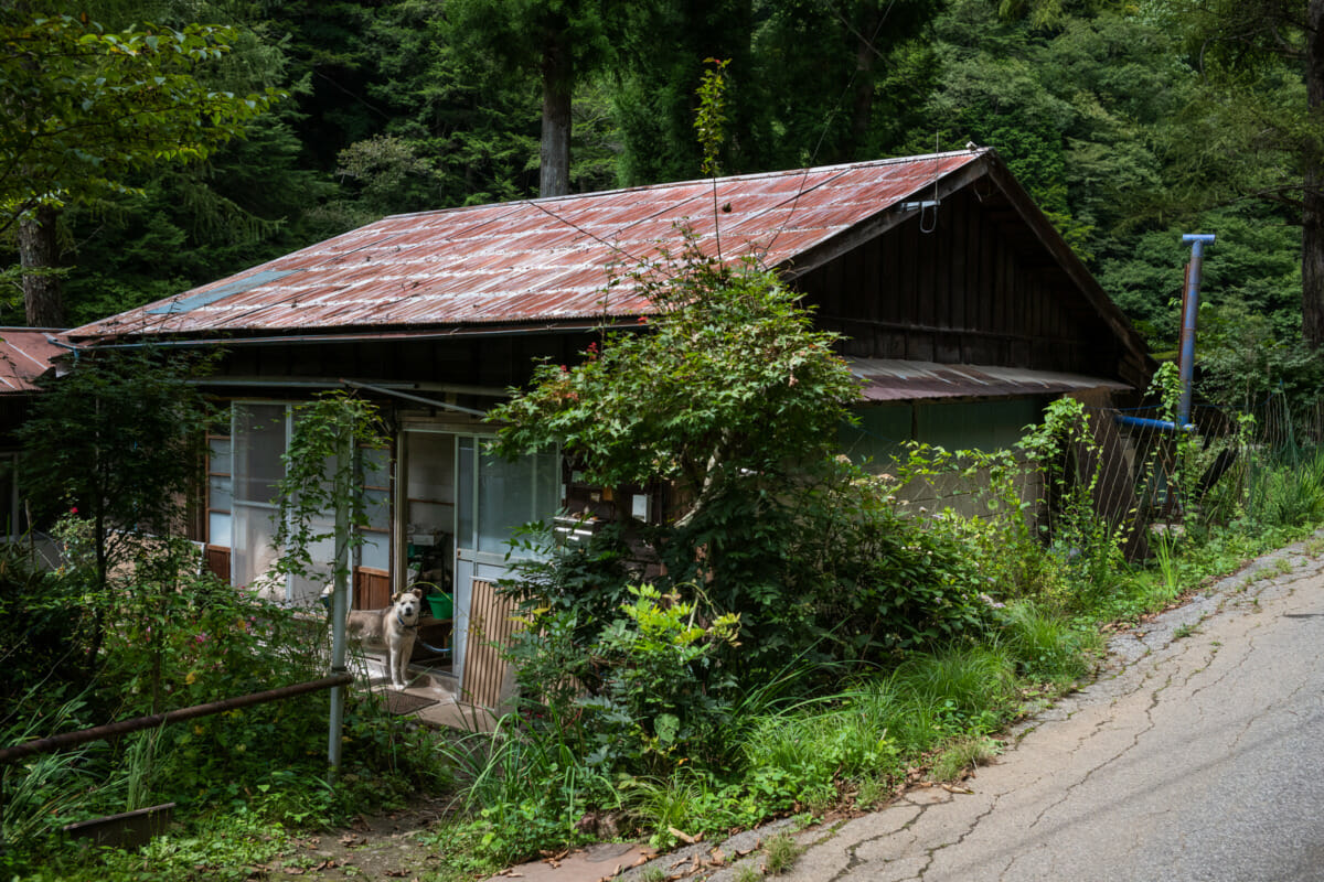 The emptiness of Japan’s countryside