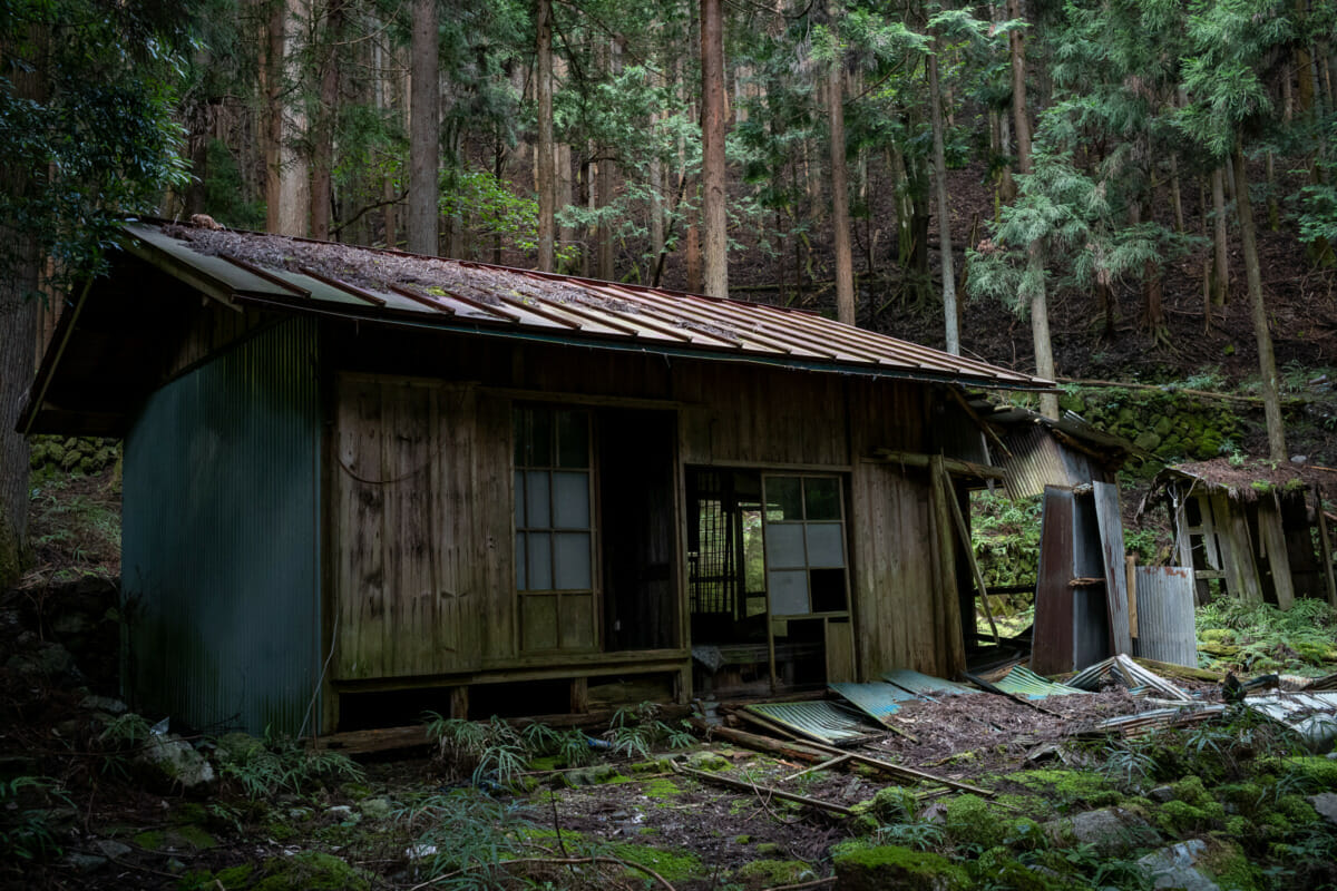 The silence and decay of an abandoned Japanese mountain village