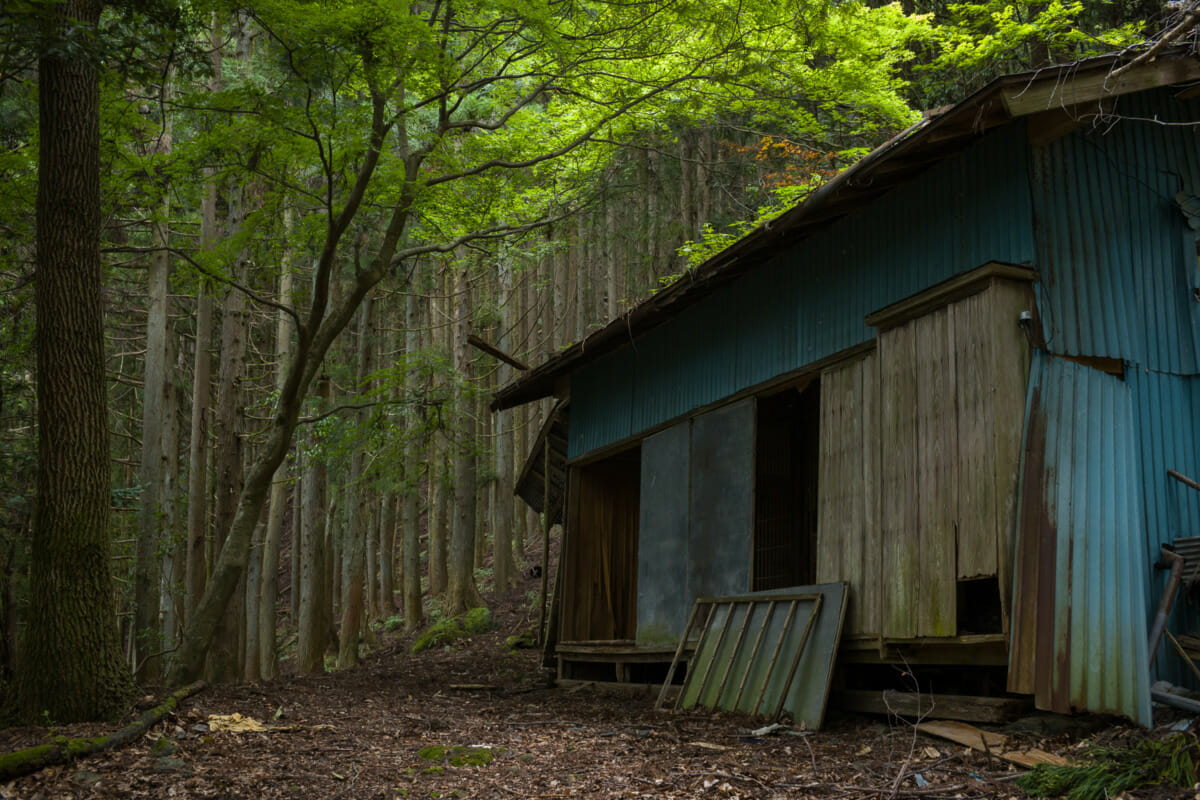 The silence and decay of an abandoned Japanese mountain village