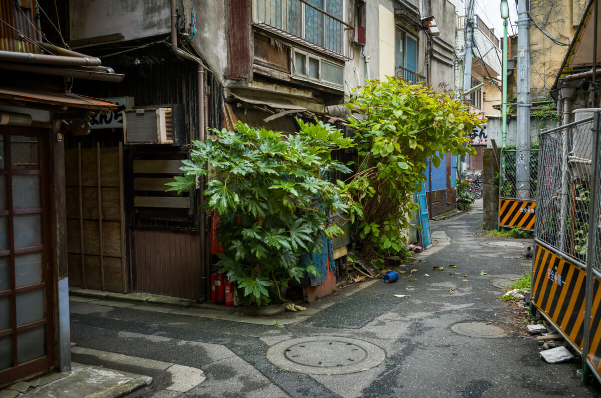 the demolition of Tateishi's drinking alleyways