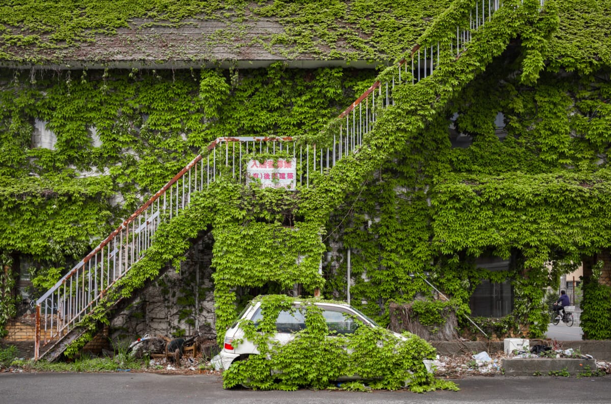 The beauty of nature taking man-made objects back