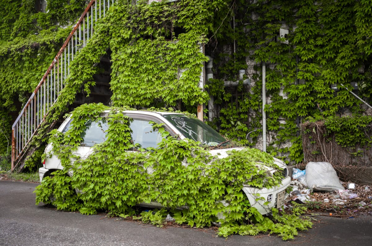 The beauty of nature taking man-made objects back