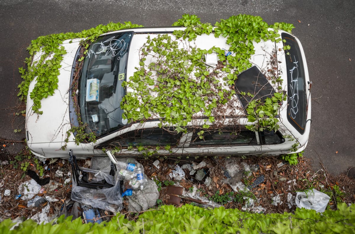 The beauty of nature taking man-made objects back