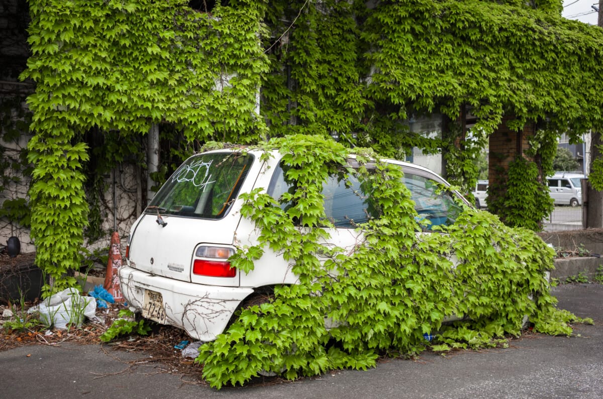 The beauty of nature taking man-made objects back