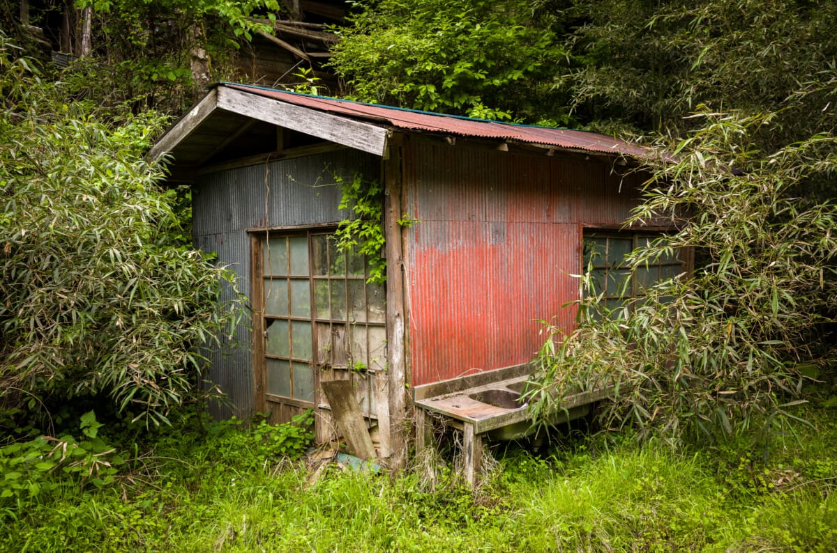 The green and space of Tokyo’s far west