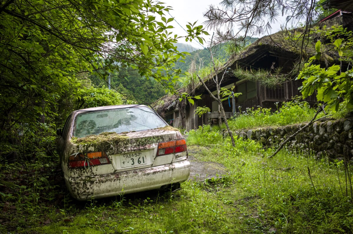 The green and space of Tokyo’s far west