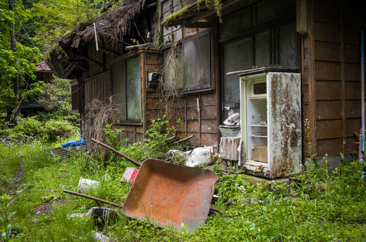 The green and space of Tokyo’s far west