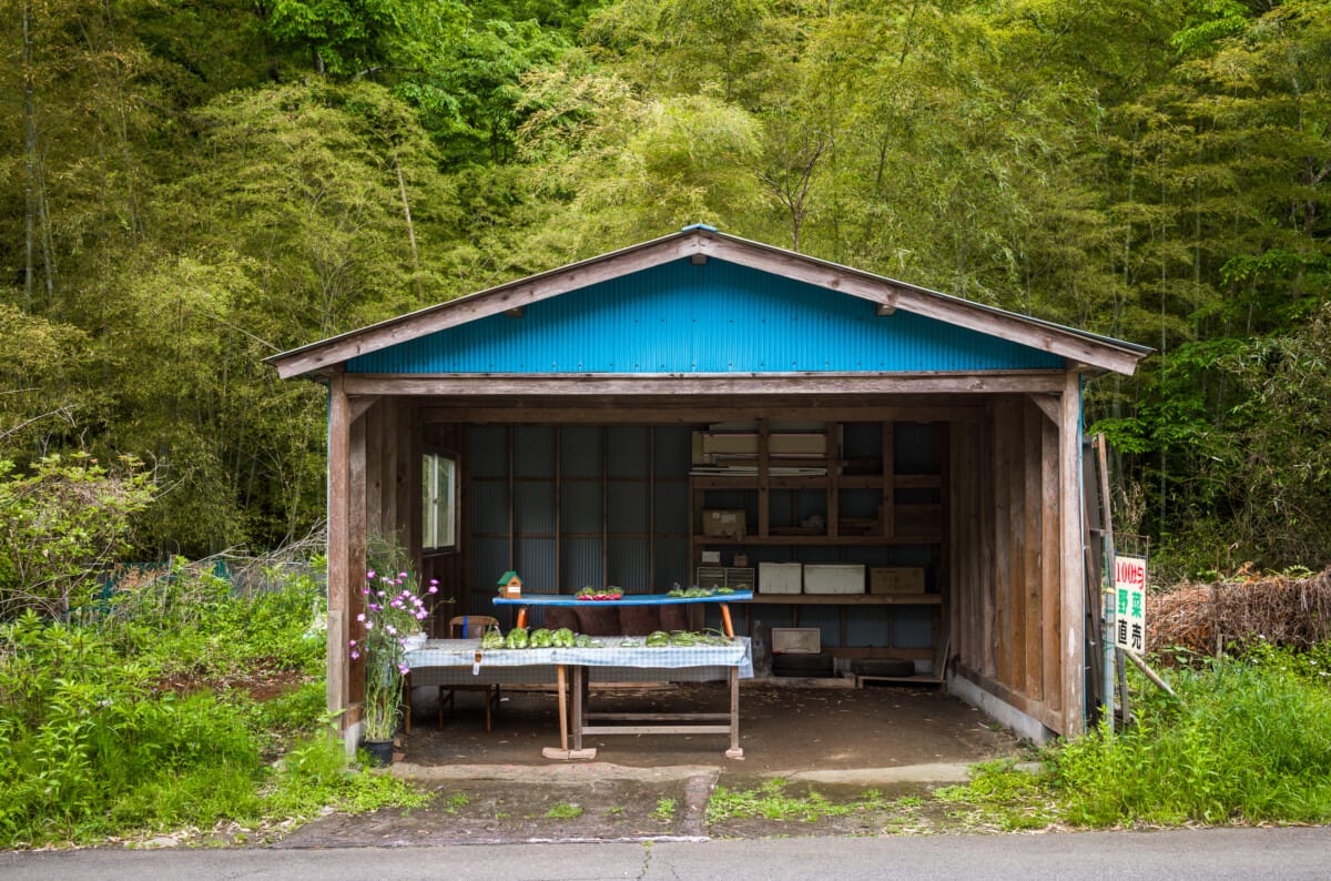 The green and space of Tokyo’s far west