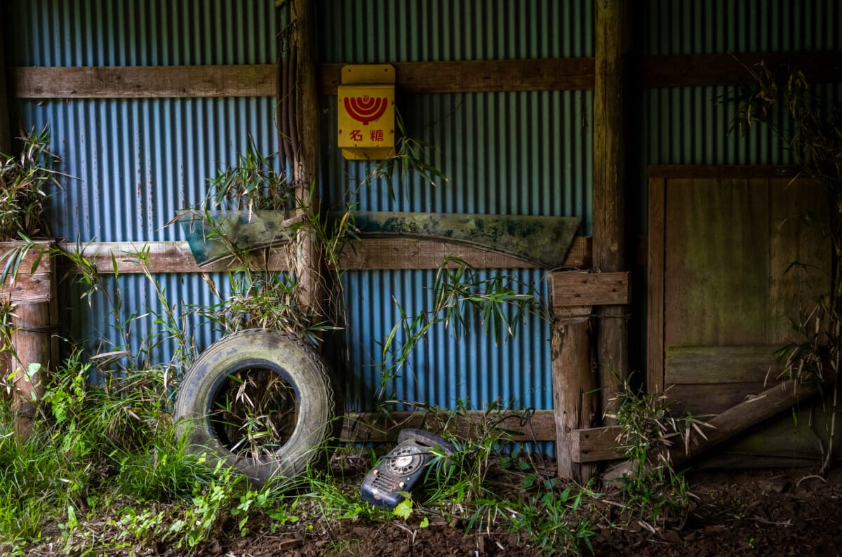 The green and space of Tokyo’s far west