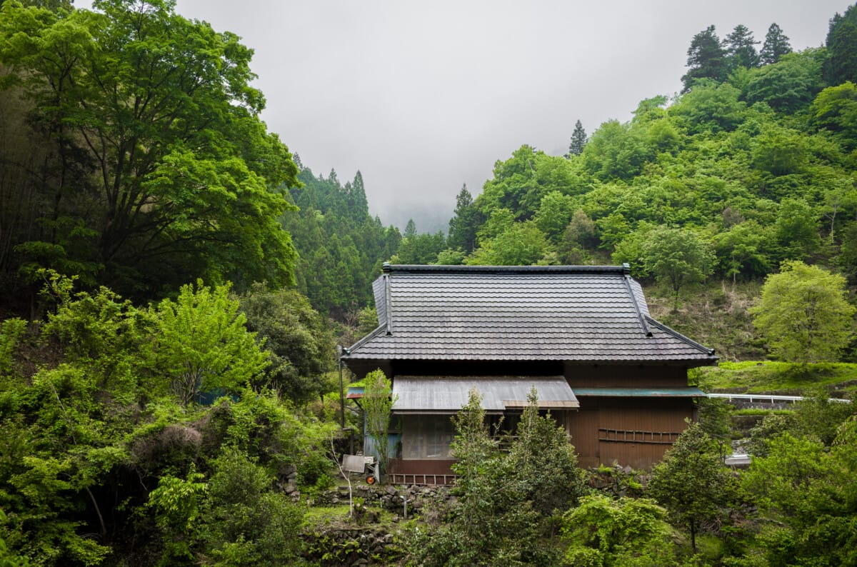The green and space of Tokyo’s far west