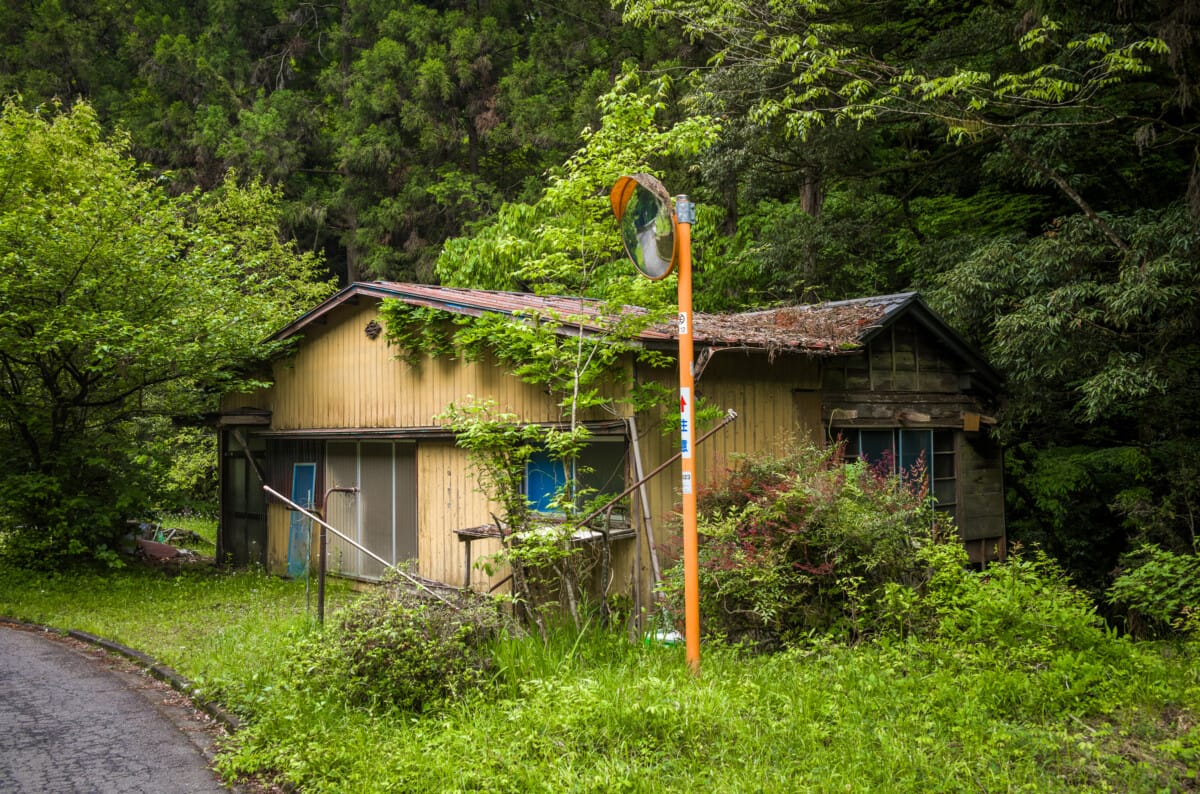 The green and space of Tokyo’s far west