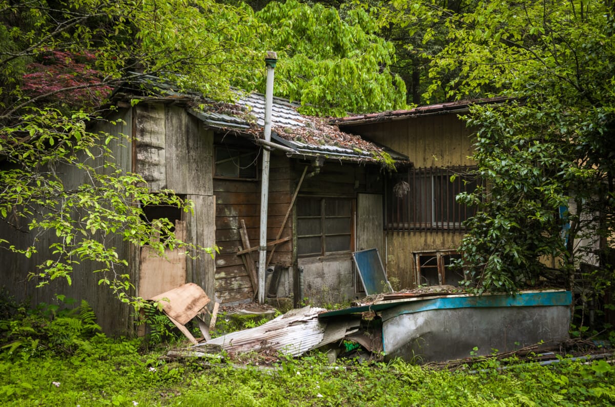 The green and space of Tokyo’s far west
