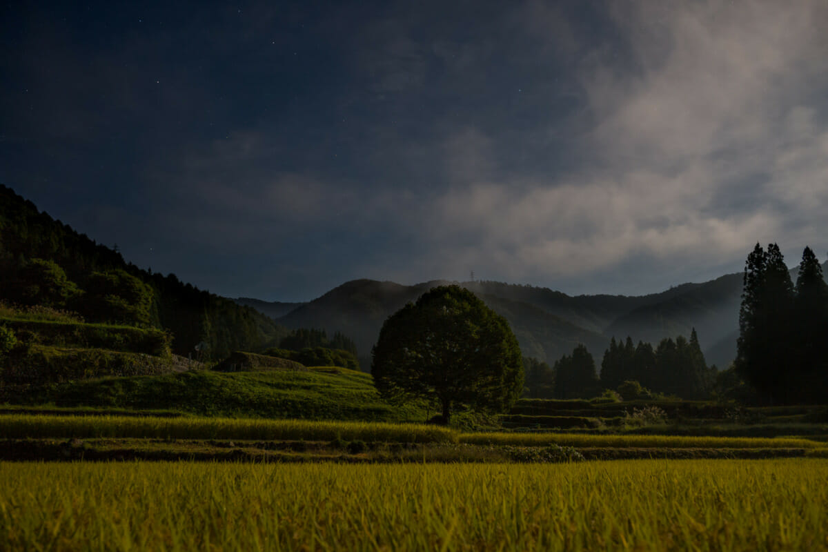 the Japanese alps on the cusp of autumn