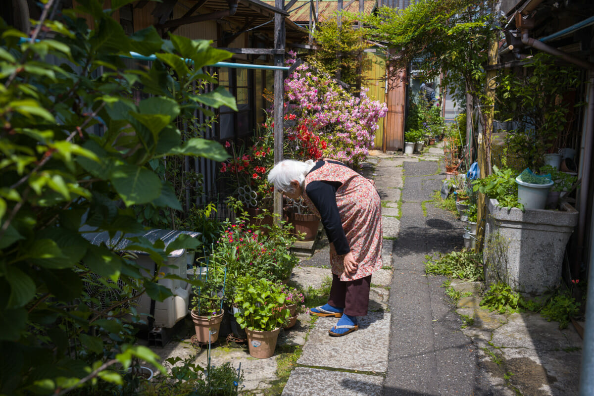 tiny old Tokyo street