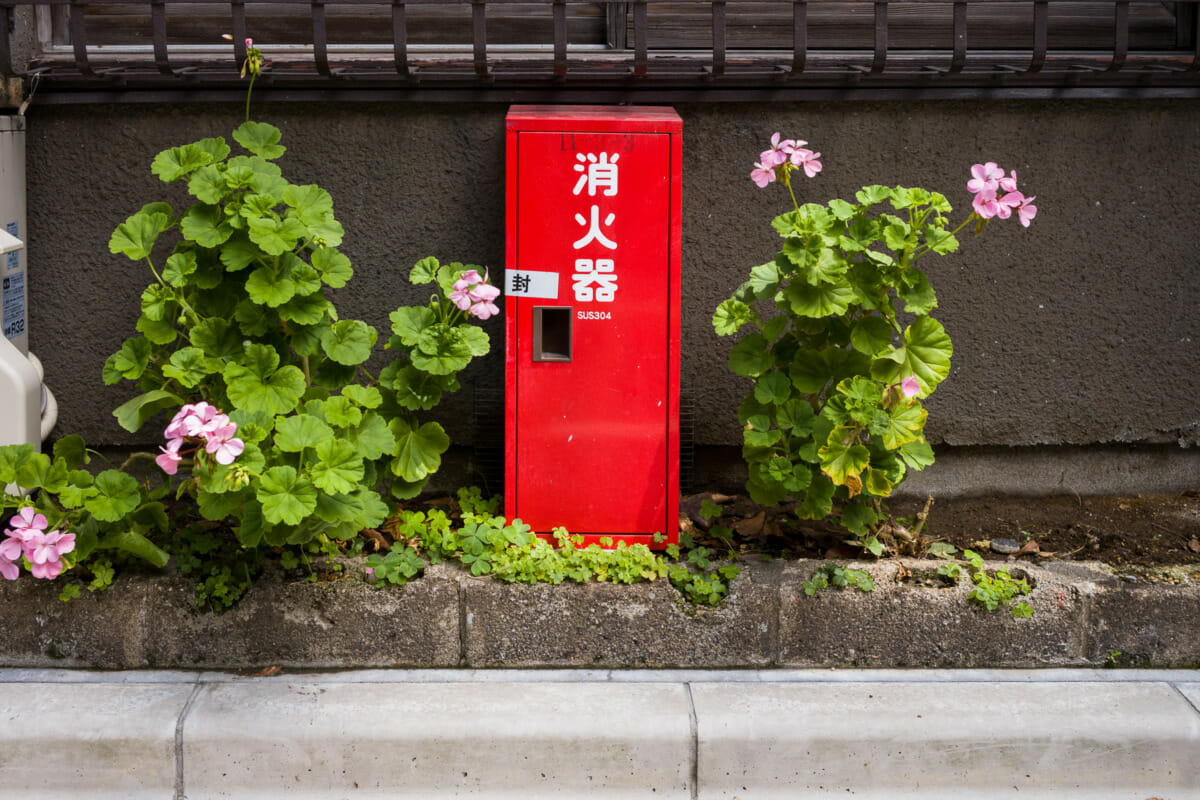 tiny old Tokyo street