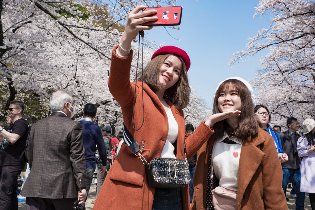 tokyo cherry blossom faces