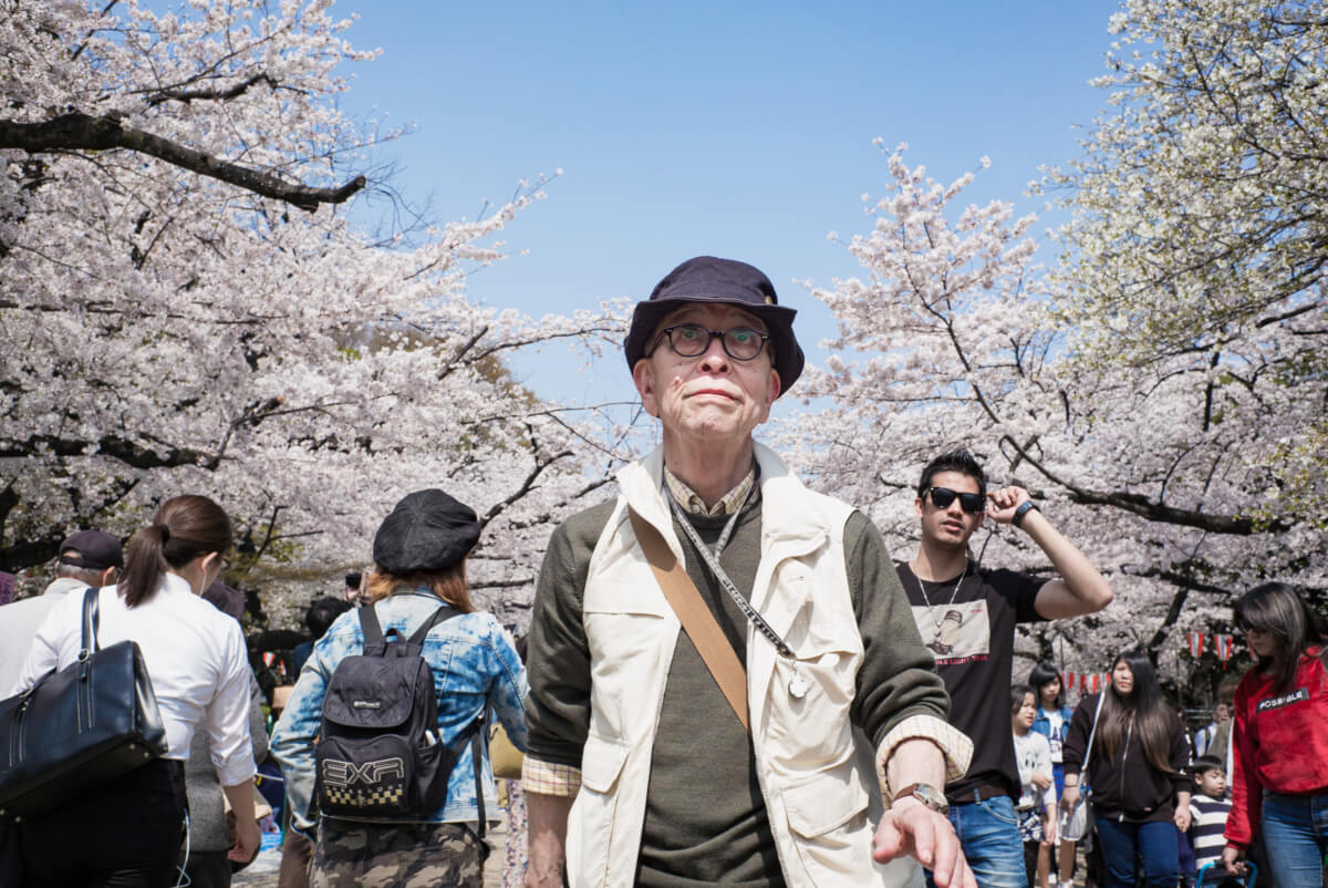 tokyo cherry blossom faces