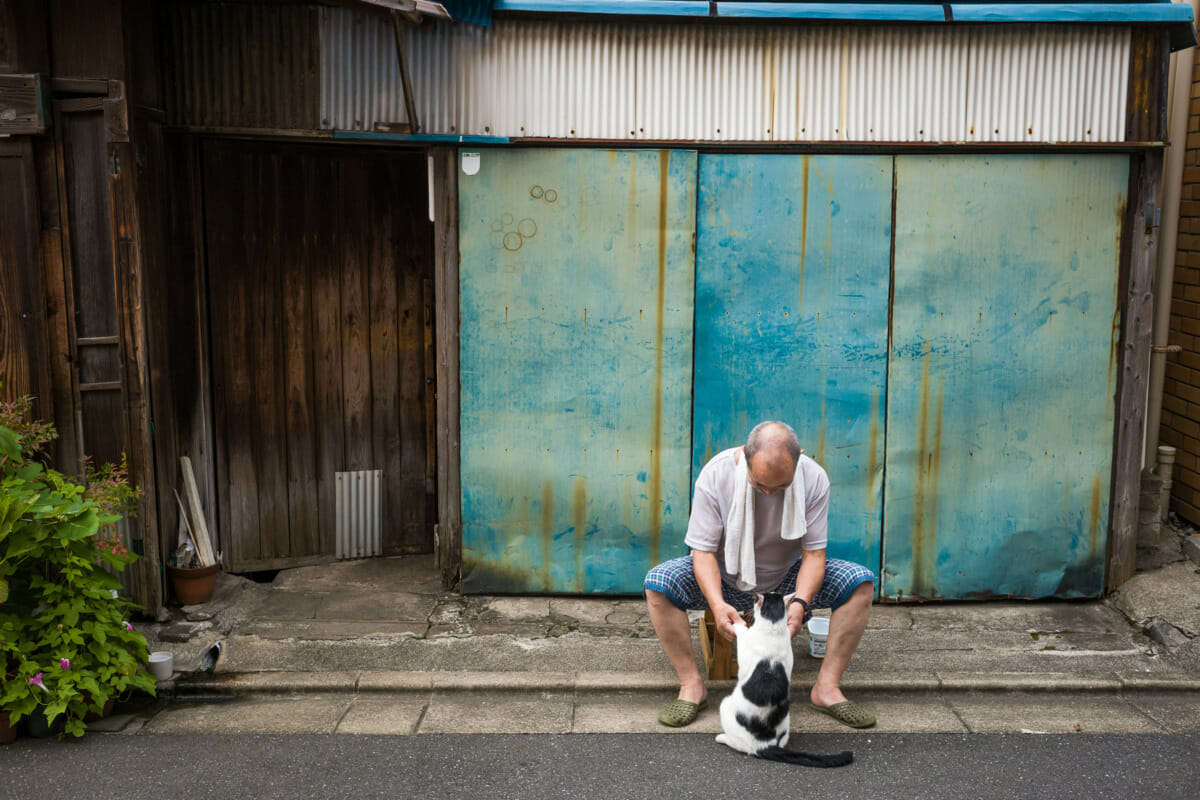 tokyo animals