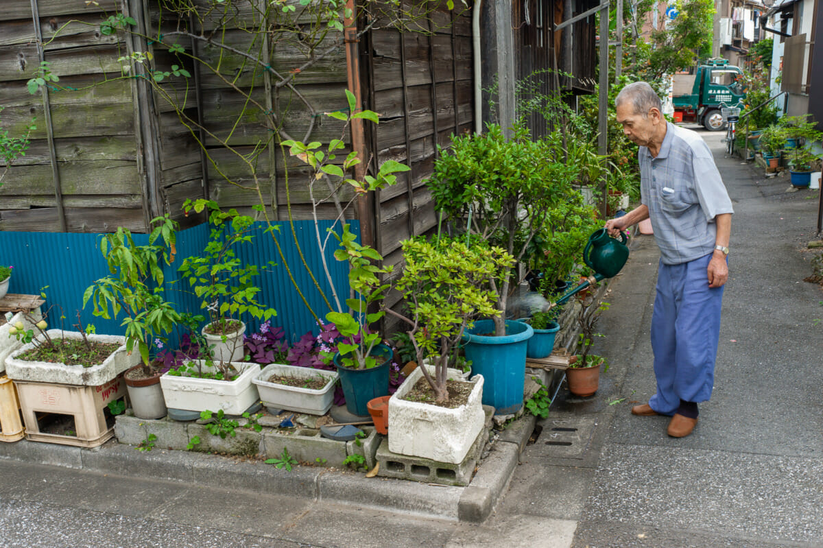 Tokyo before and after