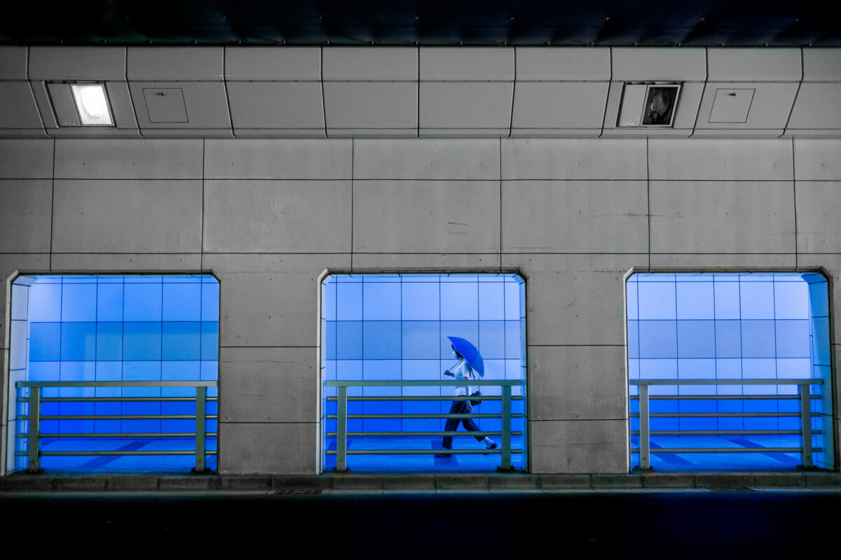 Tokyo blue underpass umbrella