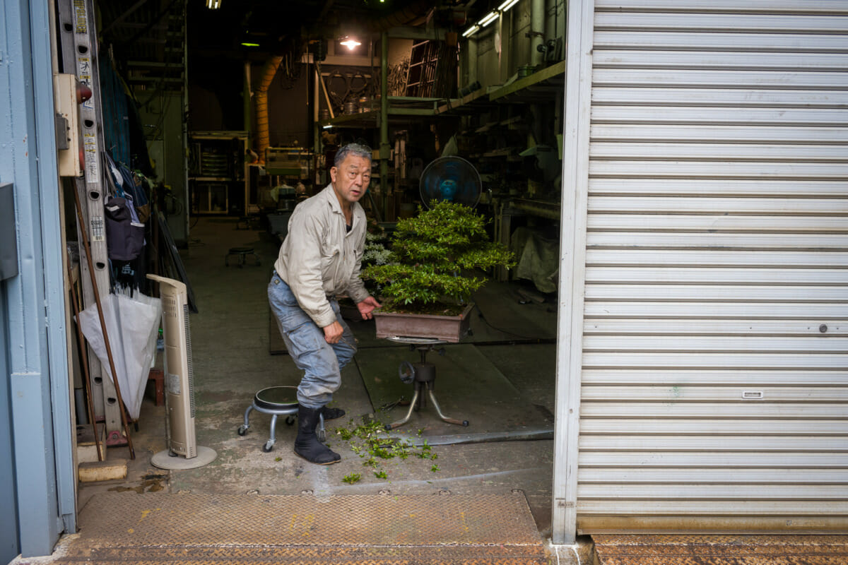 Tokyo bonsai factory