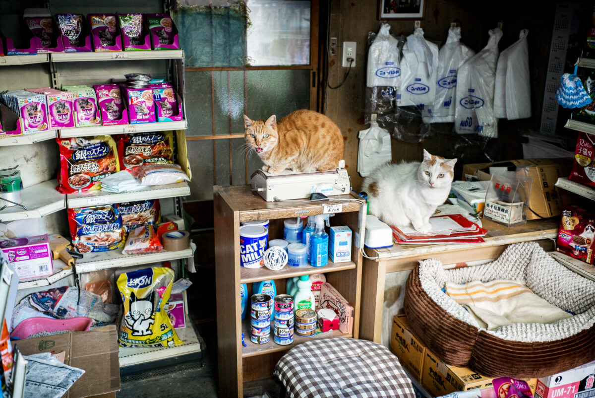 tokyo cat shopkeepers