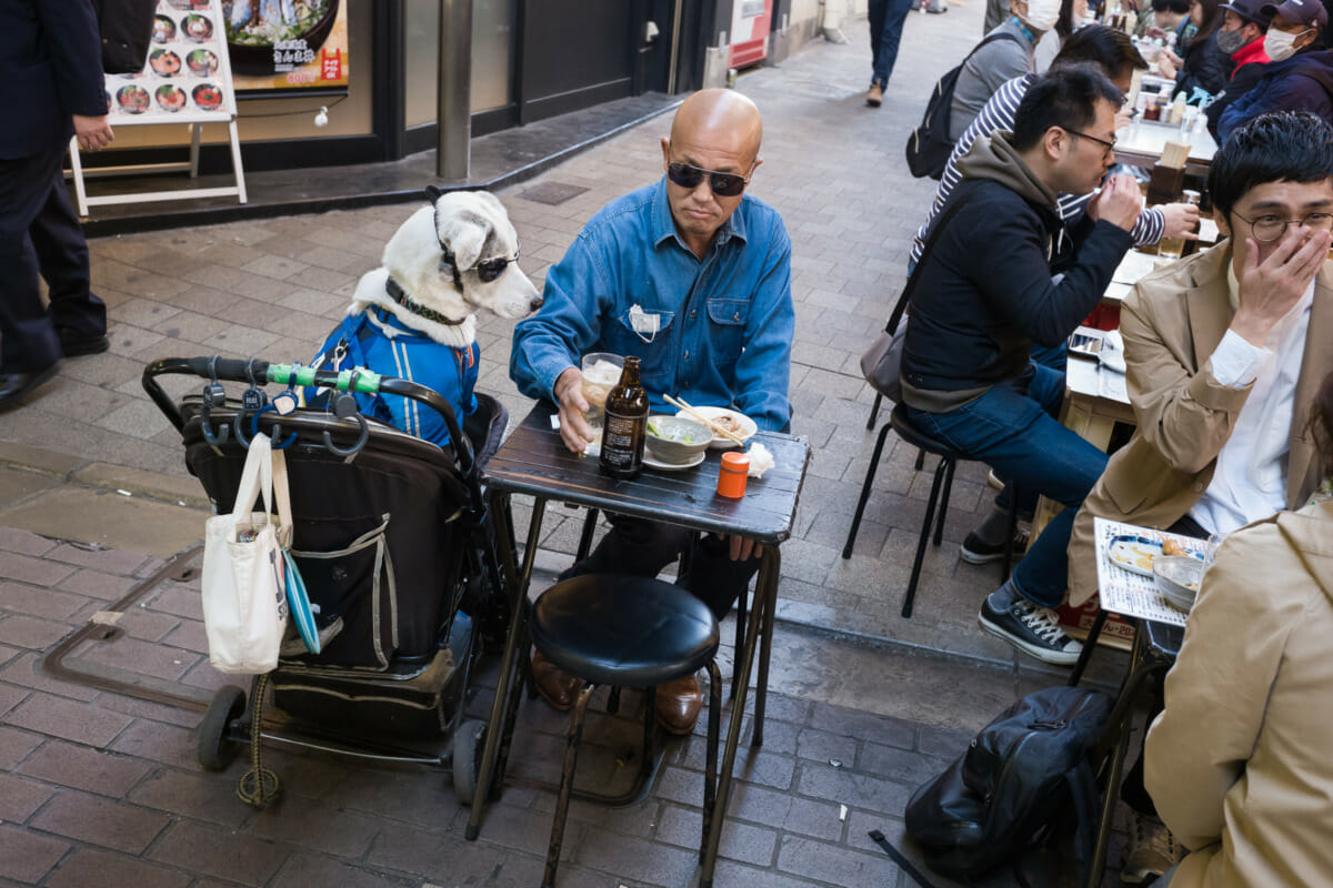 a tokyo dog and its owner wearing sunglasses