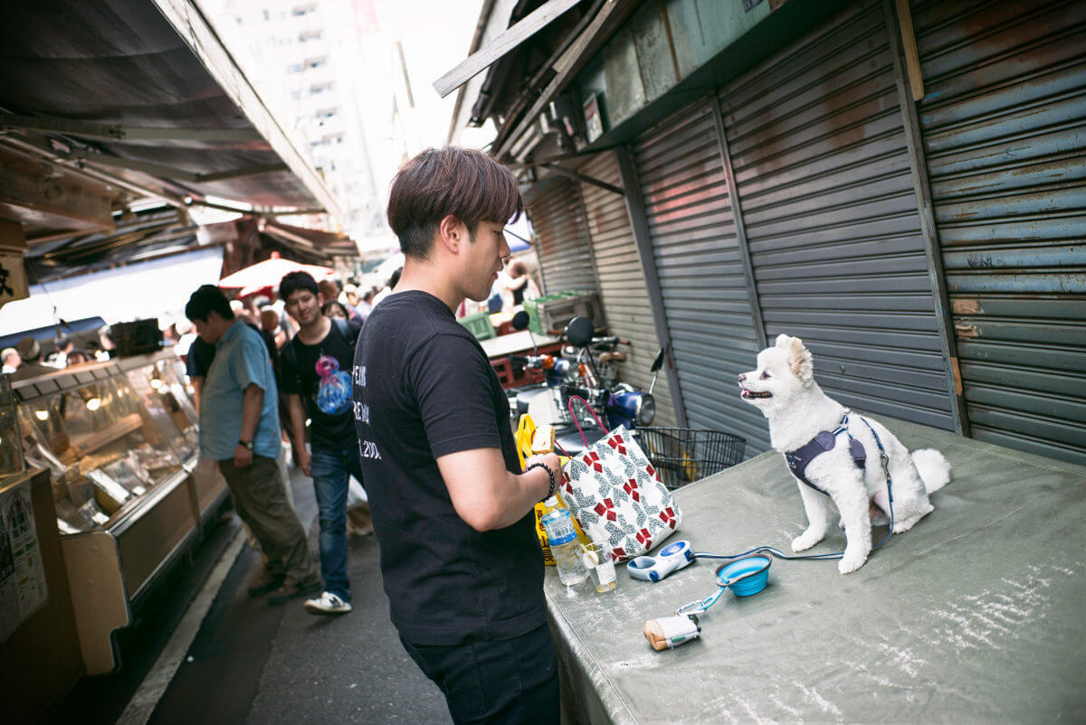 Tokyo dog love and devotion