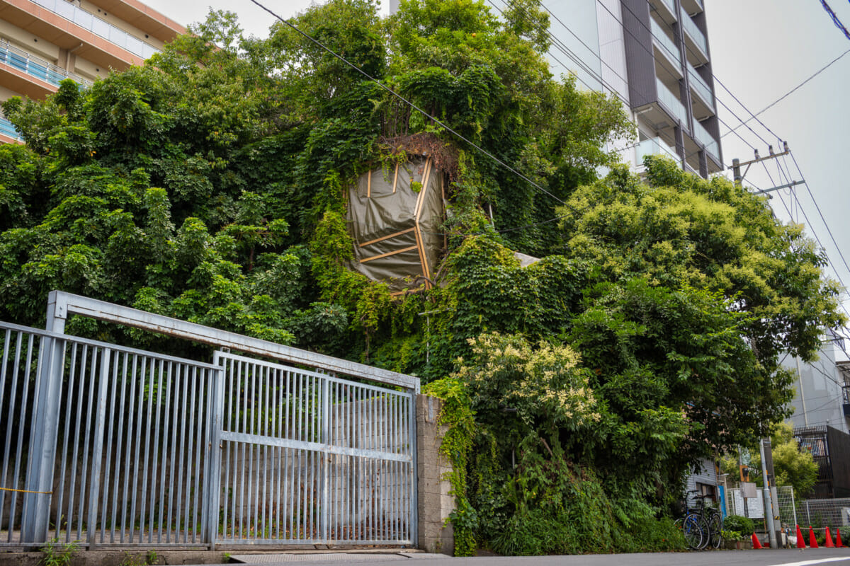 an incredibly overgrown old Tokyo hotel