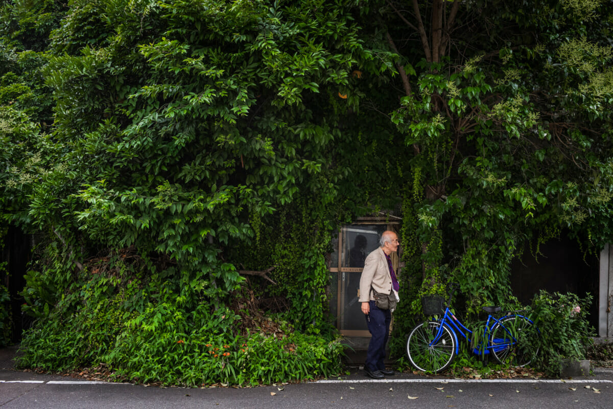 an incredibly overgrown old Tokyo hotel