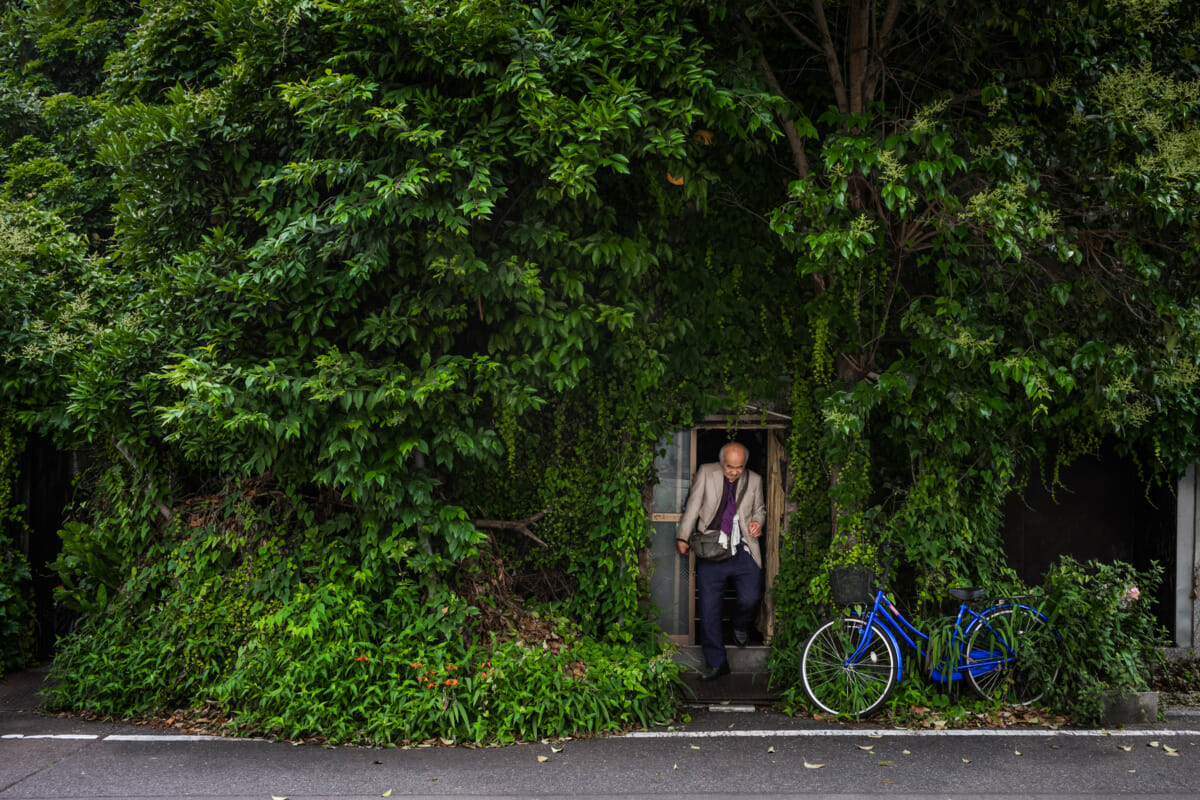 an incredibly overgrown old Tokyo hotel