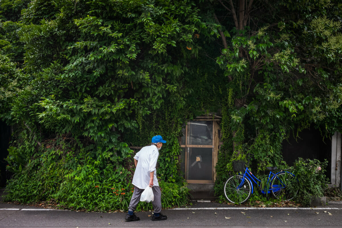 an incredibly overgrown old Tokyo hotel