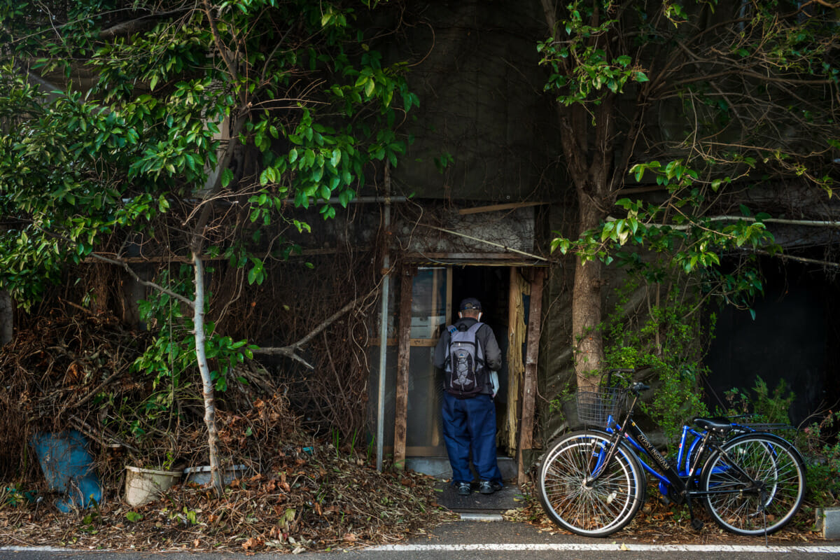 an incredibly overgrown old Tokyo hotel