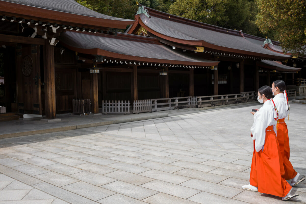 Tokyo shrine maidens