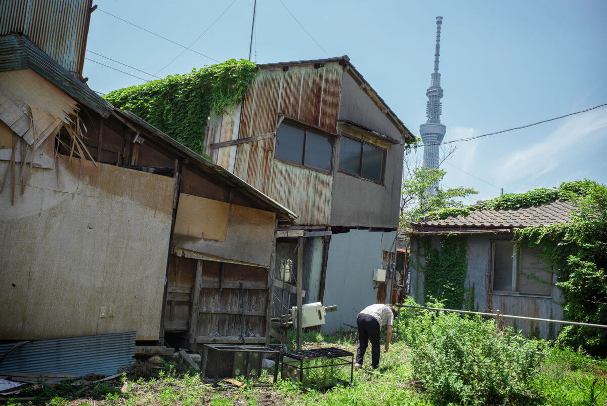 Tokyo Skytree contrast