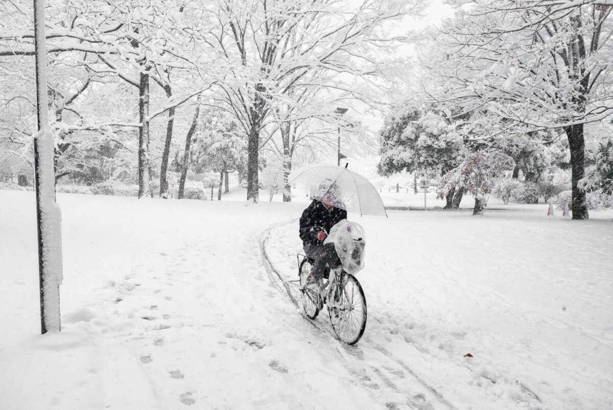 tokyo in the snow