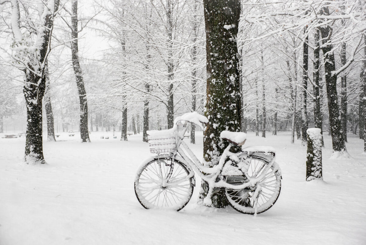 tokyo in the snow