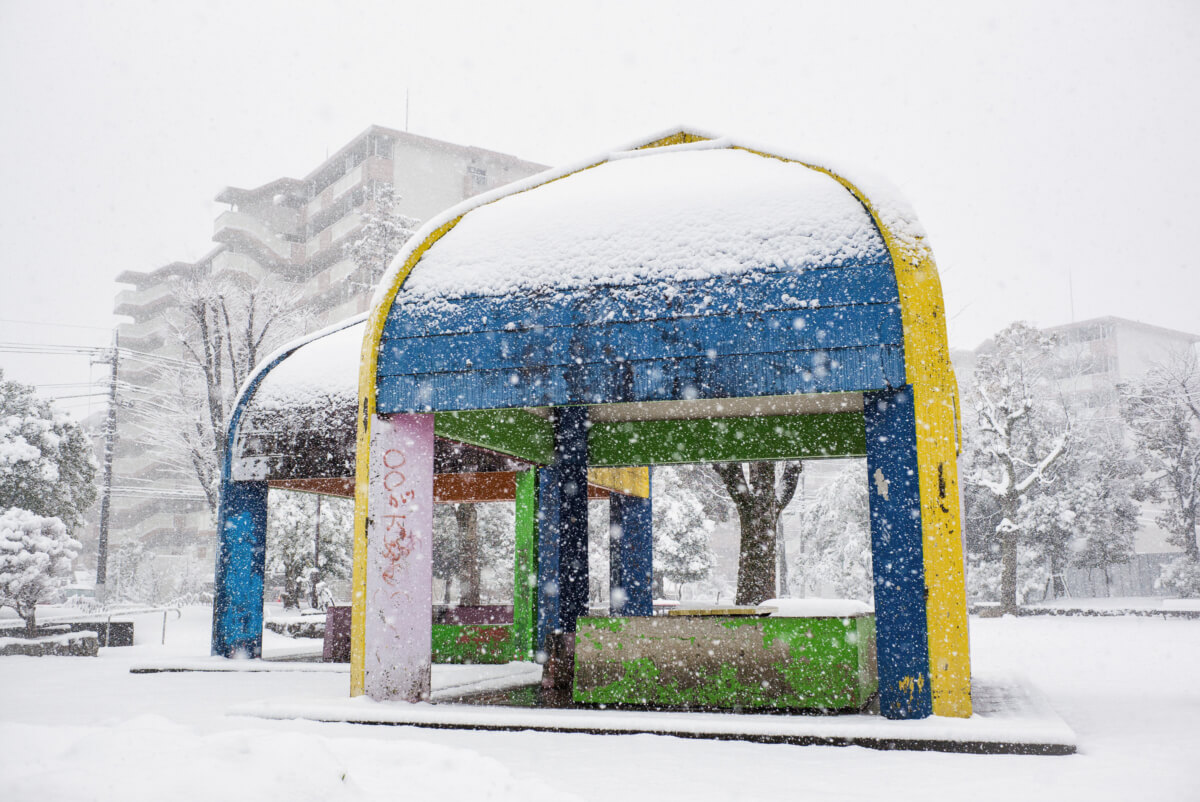 tokyo in the snow