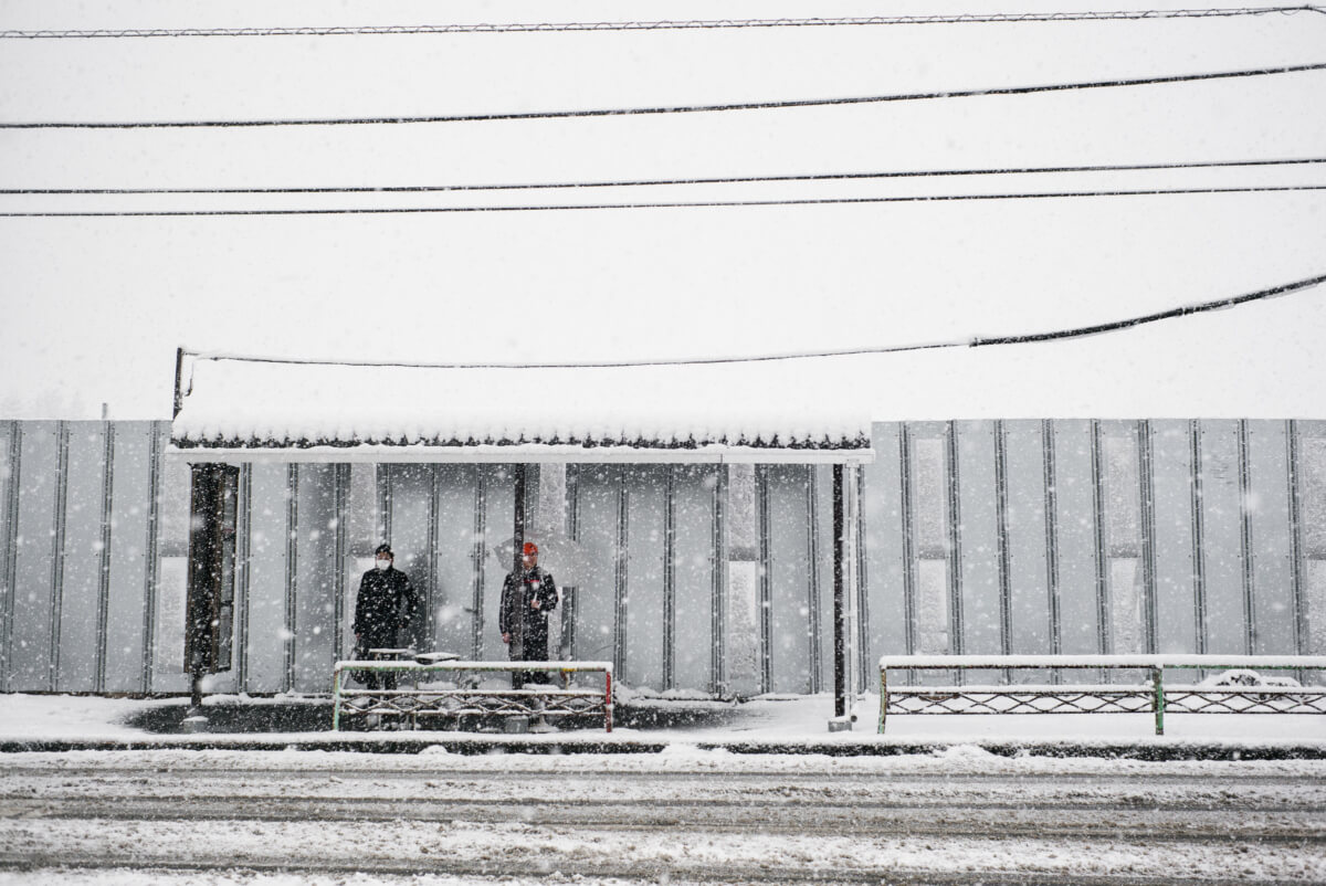 tokyo in the snow