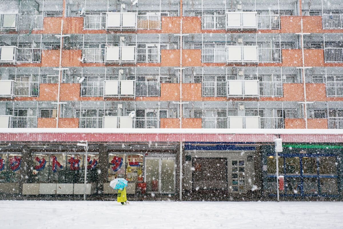 tokyo in the snow