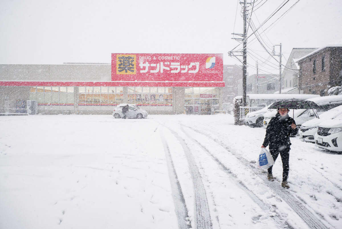 tokyo in the snow