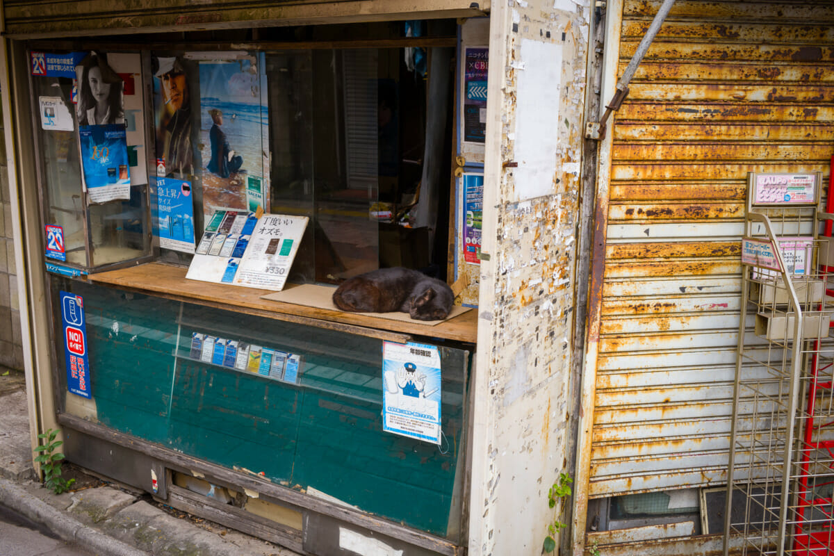 old Tokyo tobacconists