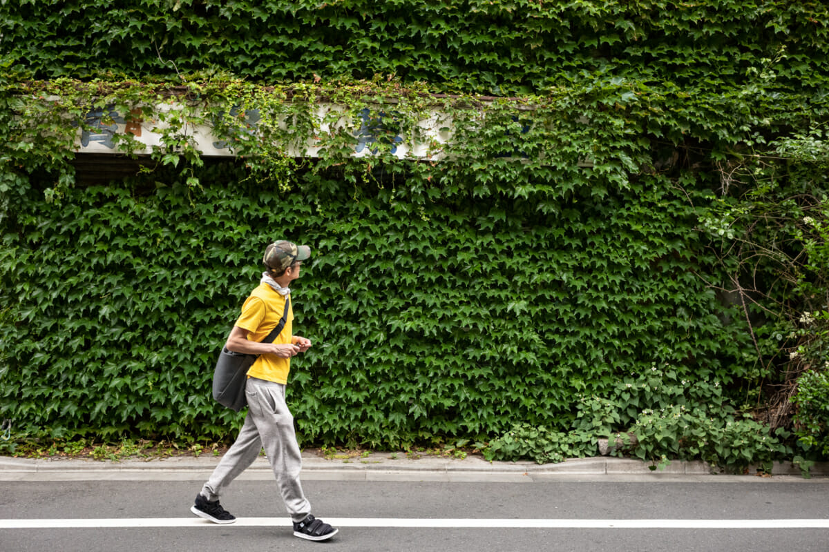 tokyo camouflage