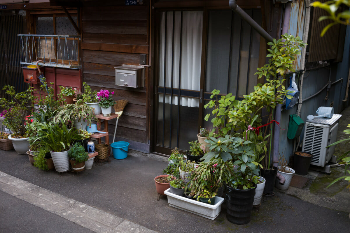 traditional old tokyo street