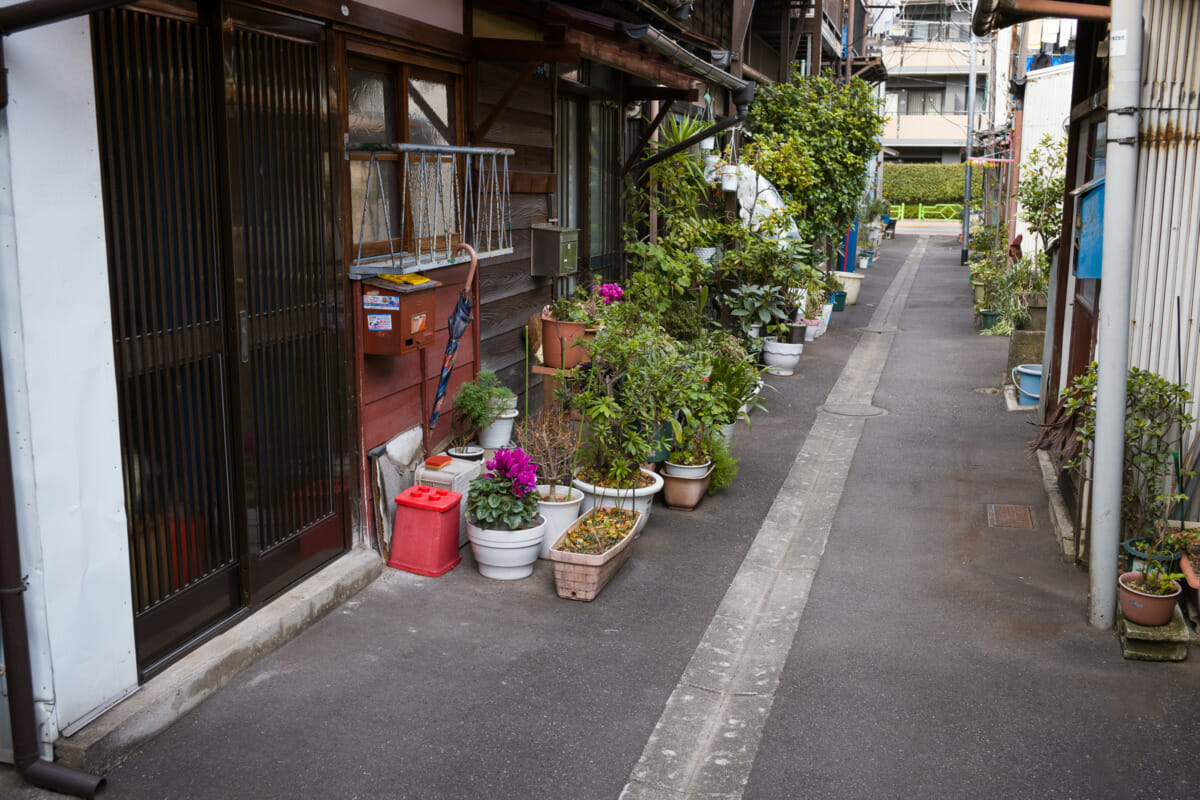 traditional old tokyo street