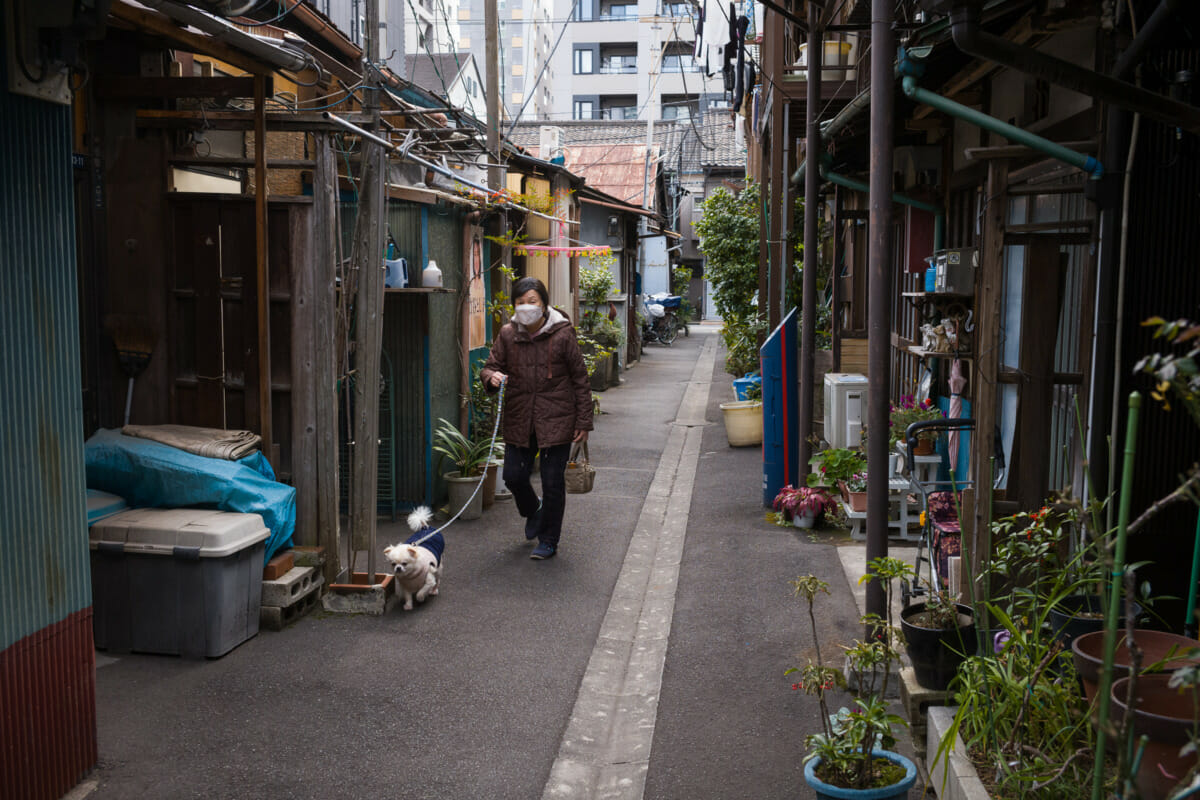 traditional old tokyo street