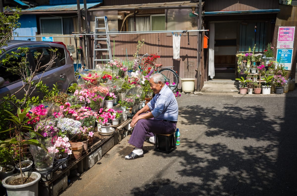 Scenes of urban Tokyo in spring